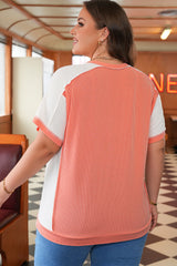 Carrot Twist Rib Colorblock Hi Low Plus Size Short Sleeve Top