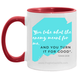 You take what the Enemy meant for me 11OZ Accent Mug 