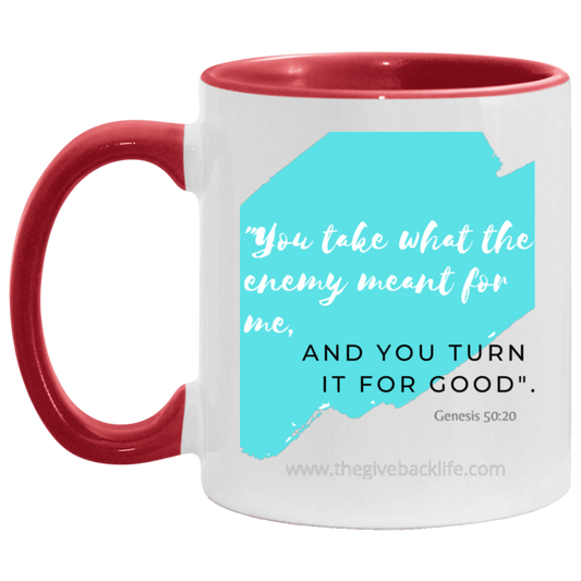 You take what the Enemy meant for me 11OZ Accent Mug