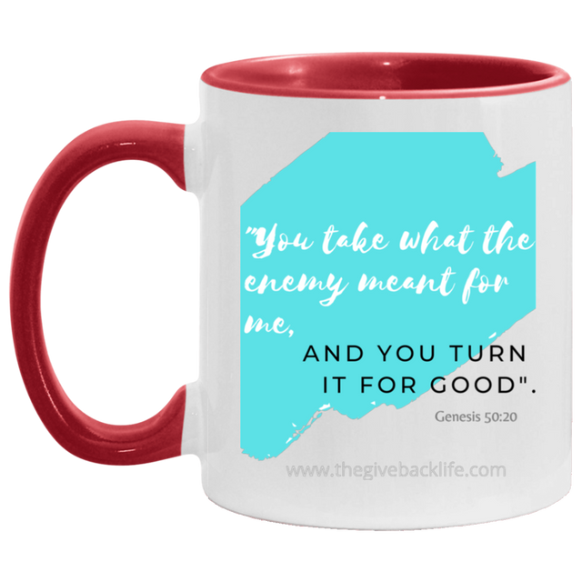 You take what the Enemy meant for me 11OZ Accent Mug 
