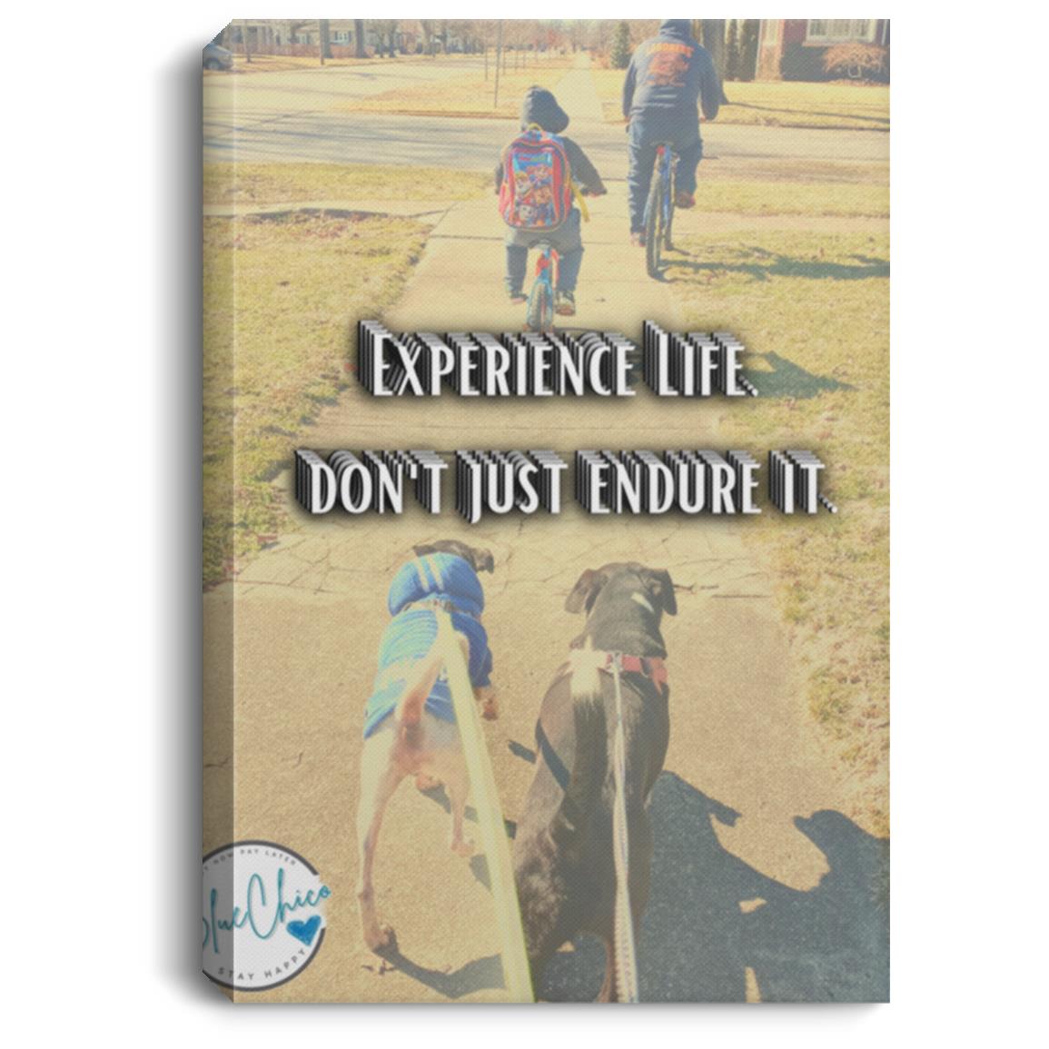 Experience Life Canvas Wall Art 