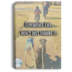 Experience Life Canvas Wall Art 