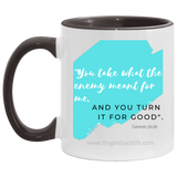 You take what the Enemy meant for me 11OZ Accent Mug 