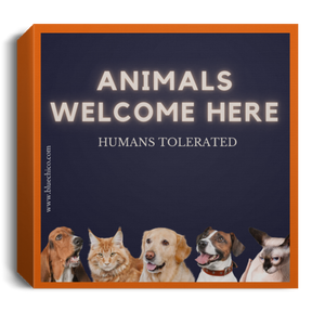 BlueChico Deluxe Square Canvas 