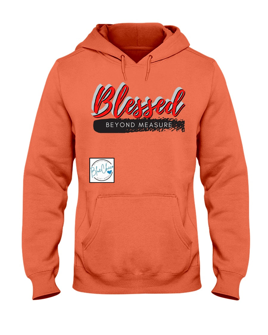 What is the warmest hoodie money can buy? A Blue Chico Hoodie