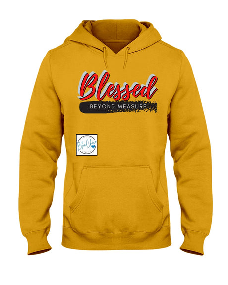 What is the warmest hoodie money can buy? A Blue Chico Hoodie